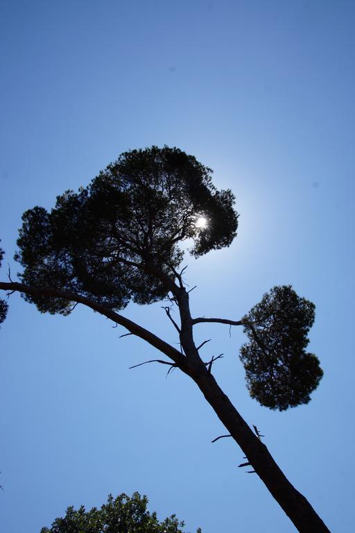 Hotel Saint-Charles Juan-les-Pins Esterno foto